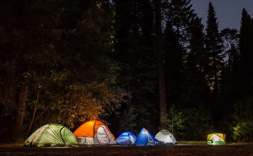 8 Essential Tips for Choosing the Right Tent: Your Complete Camping Buyer’s Guide Camping tents illuminated under starry night sky