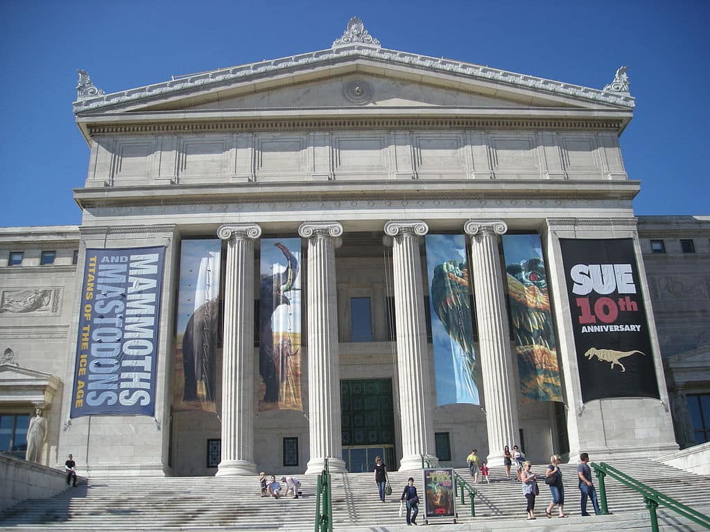 25 Best Places to Visit in Chicago: Ultimate Guide to the Windy City's Top Attractions (2025) 1024px Field Museum August 2010 4